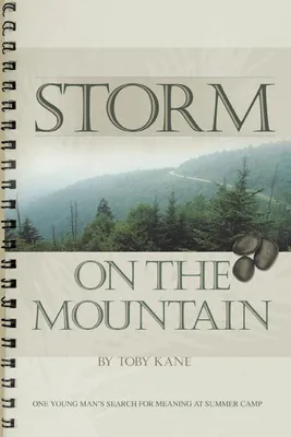 Produktbild von Storm on the Mountain