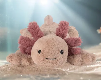 Immagine prodotto di Axolotl dei guerrieri