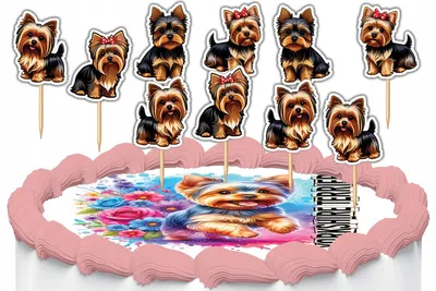 Produktbild von Tortenstecker Kuchendeko Set - Hund Yorkshire Terrier 10 Stück