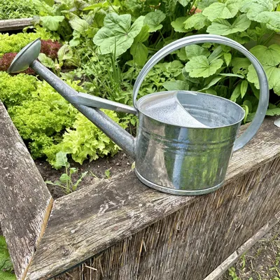 Produktbild von Gießkanne aus Altzink, M, Silber, Deko-Kanne