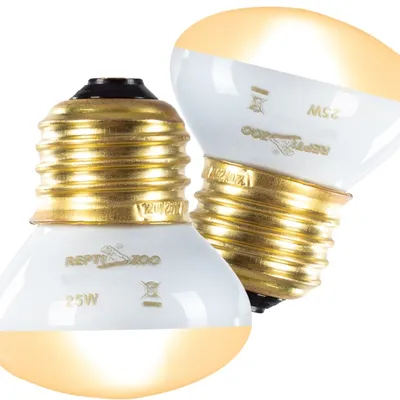 Immagine prodotto di Repti-Zoo Mini Daylight Spot 25W - lampadine riscaldanti 2 pezzi Repti-Zoo