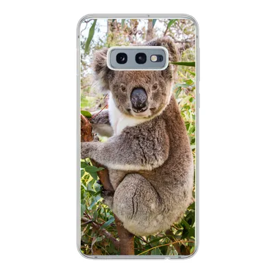 Produktbild von MuchoWow® Handyhülle Schutzhülle Hülle für Samsung Galaxy S10e Koala - Baum - Blätter - Kinder - Jungen - Mädchen Silikon Softcase Handy Hülle - Handy