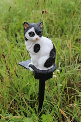 A black and white cat statue with a solar light is placed in a grassy outdoor area.