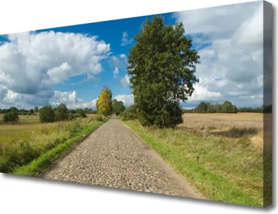Produktbild von Tulup Leinwand-Bilder 100x50 Wandbild Canvas Kunstdruck Kopfpflaster Landschaft