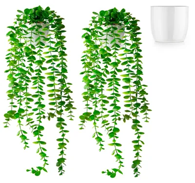 Produktbild von Set mit 2 künstlichen Eukalyptuspflanzen (60 cm) in weißen Keramiktöpfen: Künstliche Hängepflanzen | Realistische künstliche Pflanzen | Hängende künstliche Pflanzen | Künstliche Hängepflanze im Topf