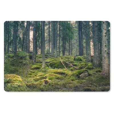 Produktbild von MuchoWow® Mauspad Mousepad Wald - Baum - Moos 27x18 cm - Mousepads - Maus Mat - Pad - Mausunterlage - Büroartikel - Desk Matten
