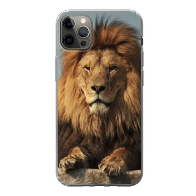 Produktbild von MuchoWow® Handyhülle Schutzhülle Hülle für iPhone 13 Pro Max Löwe - Felsen - Porträt Silikon Softcase Handy Hülle - Mobiltelefon