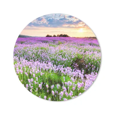 Produktbild von MuchoWow® Mauspad Mousepad Blumen - Lavendel - Lila - Himmel - Sonnenuntergang - Wiese - Natur 50x50 cm - Mousepads - Maus Mat - Pad - Mausunterlage - Vinyl