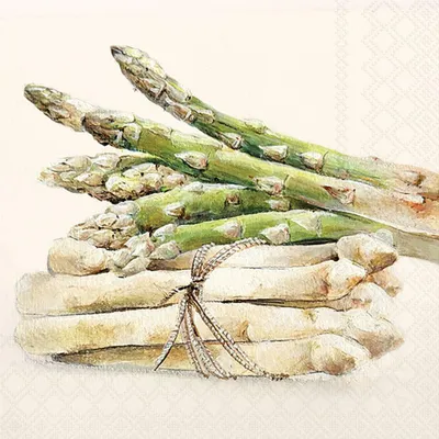 Produktbild von Servietten 33x33 cm Tasty asparagus - Spagel