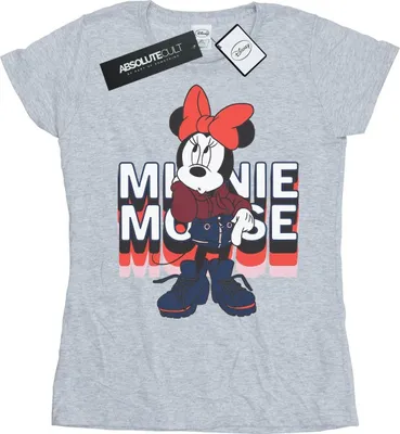 Produktbild von Disney - "In Hoodie" T-Shirt für Damen BI51606 (XL) (Grau)