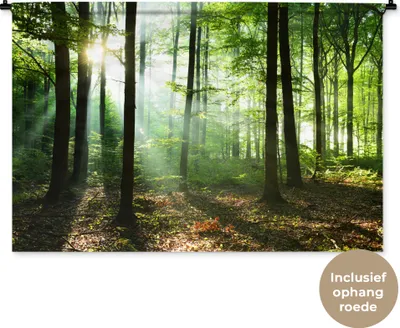 Produktbild von MuchoWow® Wandteppich Wandbehang Wald - Sonne - Laub 120x80 cm Tapisserie Dekoration Wandtuch - Wanddekorationen - Wandtücher