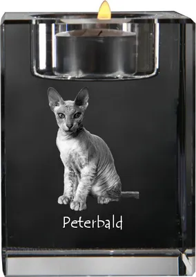 Obrázok produktu pre Art-Dog Svietnik na čajovú sviečku – Peterbald