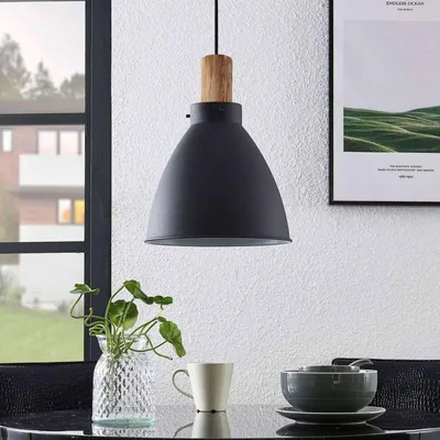 Immagine prodotto di Lampada a sospensione Lindby Trebale, E27, Ø 28 cm, nera, metallo