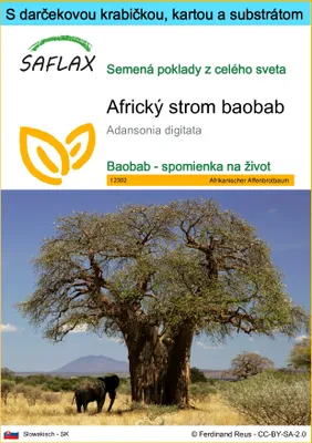 Obrázok produktu pre SAFLAX Darčeková sada - Africký strom baobab - Adansonia digitata - 6 Semená - S darčekovou krabičkou, prepravným štítkom, darčekovou kartou a pestovateľským médiom
