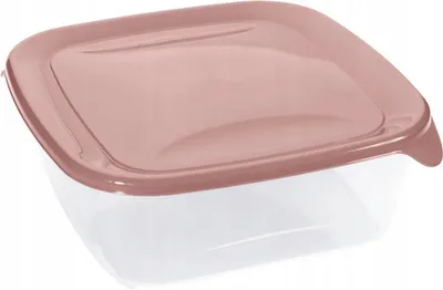 Immagine prodotto di Curver Fresh & Go, contenitore quadrato, 1,7 litri, trasparente