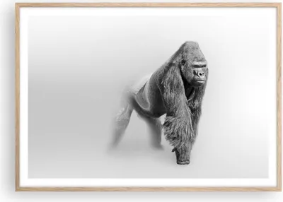 Produktbild von Gerahmtes Poster - Rahmen in heller Eiche - Orang-Utan Tier - 100x70 cm - Wand Bild - Wanddeko - Wandbilder - Wandposter - Bilderrahmen - Bilder - Kunstdruck - Wandbild - P2NAA100x70-4105