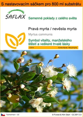 Obrázek produktu pro SAFLAX Garden in the bag - Pravá myrta / nevěsta myrta - Myrtus communis - 30 Semena - S pěstebním substrátem v praktickém samovztyčovacím sáčku