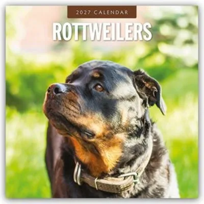 Immagine prodotto di Rottweiler - Calendario 2027 (16 mesi)