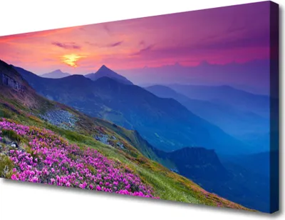 Produktbild von Tulup Leinwand-Bilder 100x50 Wandbild Canvas Kunstdruck Gebirge Wiese Blume Landschaft