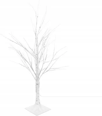 Image de Iso
