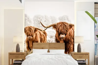 Produktbild von MuchoWow® Fototapete für Wohnzimmer oder Schlafzimmer Wandtapete Vinyl Motivtapete Schottischer Highlander - Kuh - Tiere - 175x240 cm - Schlafzimmertapete