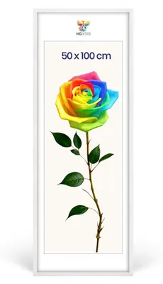 Produktbild von MG Design Bilderrahmen Weiß 50x100 cm - Posterrahmen Echtholz mit Acrylglas, verstärkte Wandaufhängung, hoch/quer