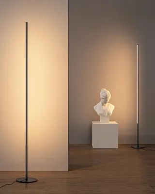 Productafbeelding van EDISHINE LED staande lamp voor de woonkamer, dimbaar, verstelbare hoogte, zwart
