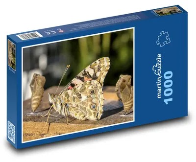 Produktbild von Puzzle 1000 Die Schönheit der Schmetterlingsverwandlung - martinpuzzle