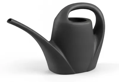 Image de InAndOutdoorMatch - Pot de jardin - Gießer - 1,5 litre - Anthracite, Image générée par une IA