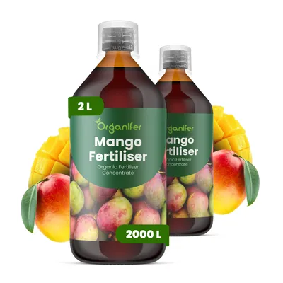 Zdjęcie produktu dla Mango Nawóz Płynny 2x1 L – 2-1-8 NPK – Do Mango Stromy – Podporuje Stabilne Korzenie i Rovnomernú Tvorbu Plodov – Organifer