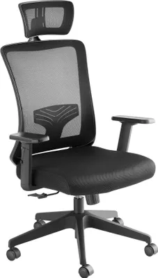 Image de Fauteuil de bureau Phoibe ergonomique avec appuie-tête réglable - noir