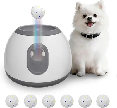 Image de Lanceur de balles automatique pour chiens - Lanceur de balles électrique pour chiens - Jouet interactif pour lancer et rapporter - Pour petits chiens - En plastique