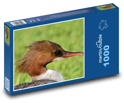 Zdjęcie produktu dla Puzzle 1000 Nurogęś na wodzie - martinpuzzle