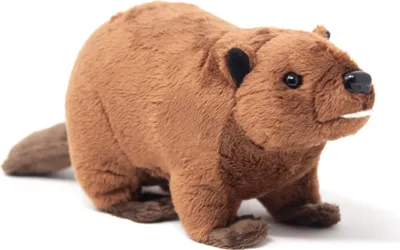 Image de Cornelissen - Doudou - Castor - 24 cm