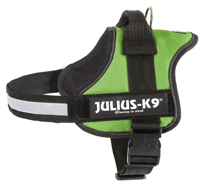Produktbild von K9 Powergeschirr, Größe: M/0, Kiwi
