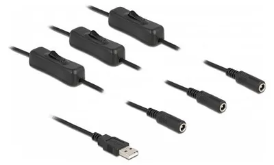 Obrázok produktu pre Delock Kabel USB Typ-A Stecker zu 3 x DC 5,5 x 2,1 mm Buchse mit Schalter 1 m