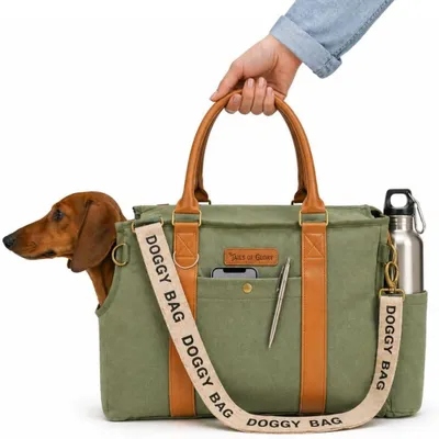 Hundetragetasche für kleine Hunde bis 8 kg, grün, mit Sicherheitsleine