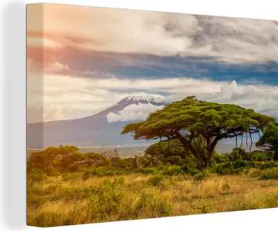 Obrázek produktu pro OneMillionCanvasses® - Obrazy na plátně - 140x90 cm, Krajina národního parku Amboseli v Keni, nástěnný tisk Nástěnná dekorace - fotografie na plátně - malba na plátně