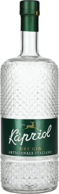 Image de Kapriol Dry Gin Artigianale Italiano 41,7% Vol. 0,7l