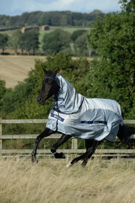 Produktbild von Bucas Buzz-off Rain & Neck Fliegendecke, Farbe:Silver/blue, Größe:90