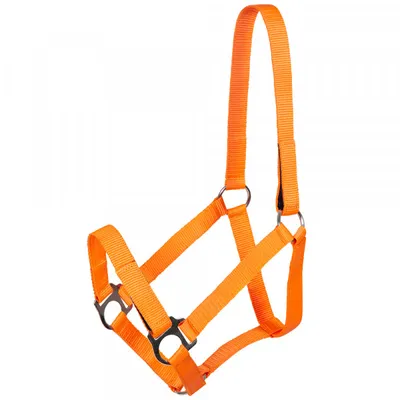 Produktbild von Pfiff Sicherheits- und Weidehalfter Jocose, Orange, Shetty