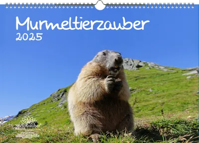 Produktbild von Murmeltierzauber DIN A3 Kalender für 2025 Murmeltier - Seelenzauber