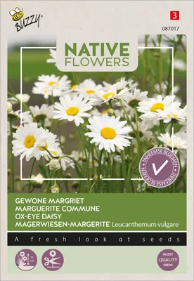 Artikelbild 2 von 'Magerwiesen-Margerite' aus der Kategorie Margeritensamen
