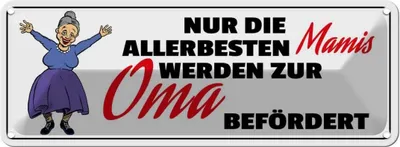 Produktbild von vianmo Blechschild 10x27 cm zur Oma befördert Opa Spruch Zitat