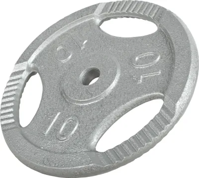 Obrázok produktu pre Gorilla Sports Liatinová záťažová doska, strieborná, 10 kg