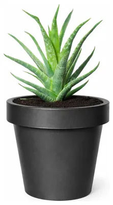 Produktbild von Mega Collections Pflanzentopf/Blumentopf - Kunststoff - schwarz - D20 cm