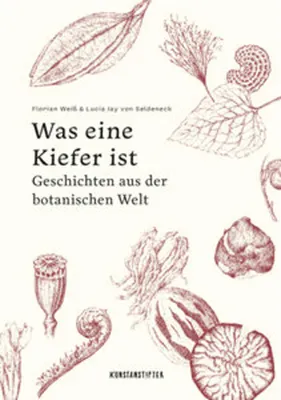 Obrázok produktu pre Was eine Kiefer ist