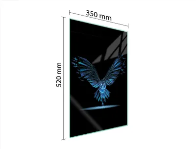 Produktbild von Herdabdeckplatte 35x52 Glaskeramikkochfeld Abdeckung Spritzschutz Glasplatte Deko Schneidebrett Vogel Schwarz