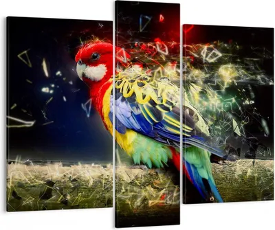 Produktbild von Bild auf Leinwand - Leinwandbild - Papagei Vogel Feder - 95x80cm - Wand Bild - Wanddeko - Wandbilder - Leinwanddruck - Bilder - Kunstdruck - Wanddekoration - Leinwand bilder - Wandkunst - CB95x80-3682