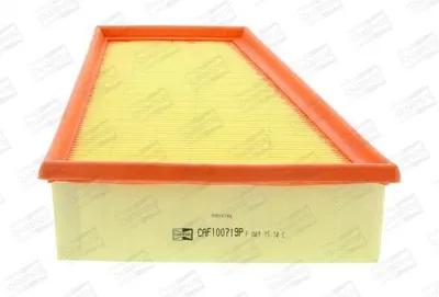 Zdjęcie produktu dla Filtr powietrza CAF100719P